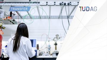 Wallpaper, hell - Transfer